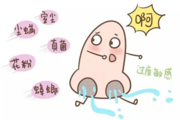 【鼻炎】过敏性体质与肺脾肾三脏功能有关，日常调理这样做！