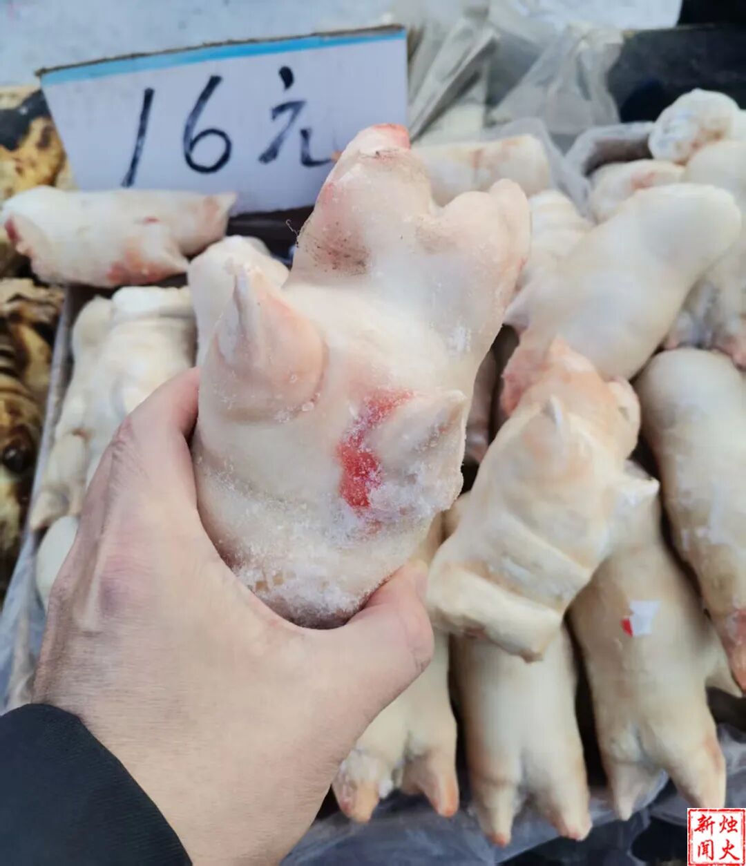 猪蹄多少钱一斤