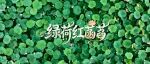 文章封面