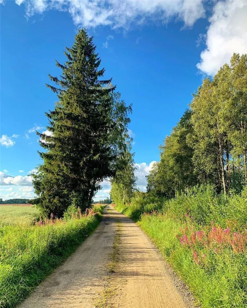 d-spect怎么检查【腹部影像学】陈文新教授团队：99Tcm-FAPI SPECT／CT对晚期结直肠癌诊断效能及免疫治疗决策的影响_https://www.jmylbn.com_新闻资讯_第1张