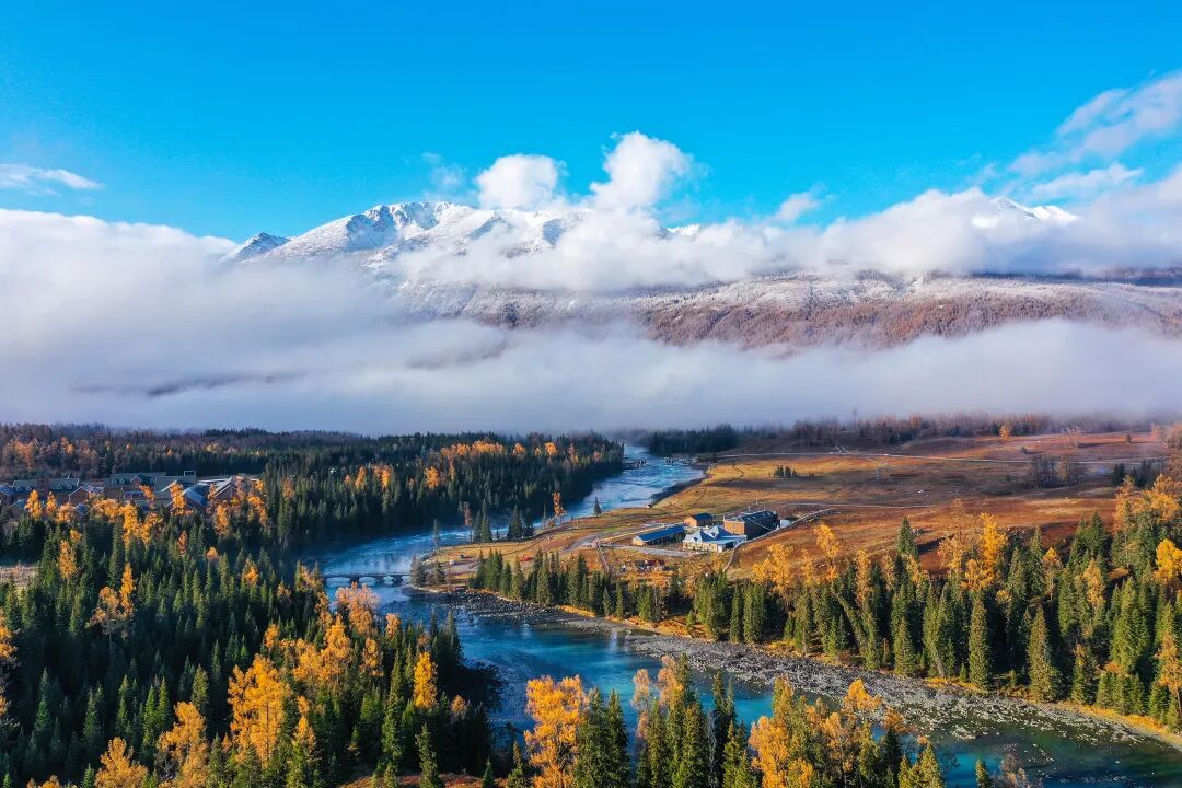 d-spect怎么检查【科普-健康知识】探寻角落里的“它”——SPECT／CT甲状旁腺显像_https://www.jmylbn.com_新闻资讯_第1张