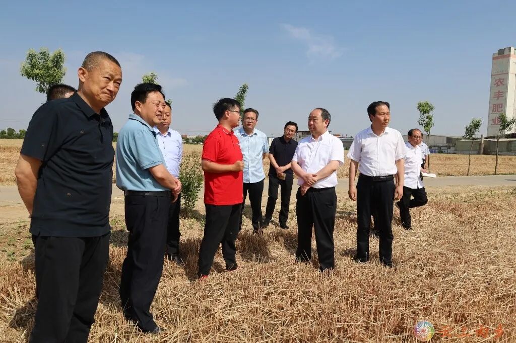 张智广调研督导"三夏"麦收工作