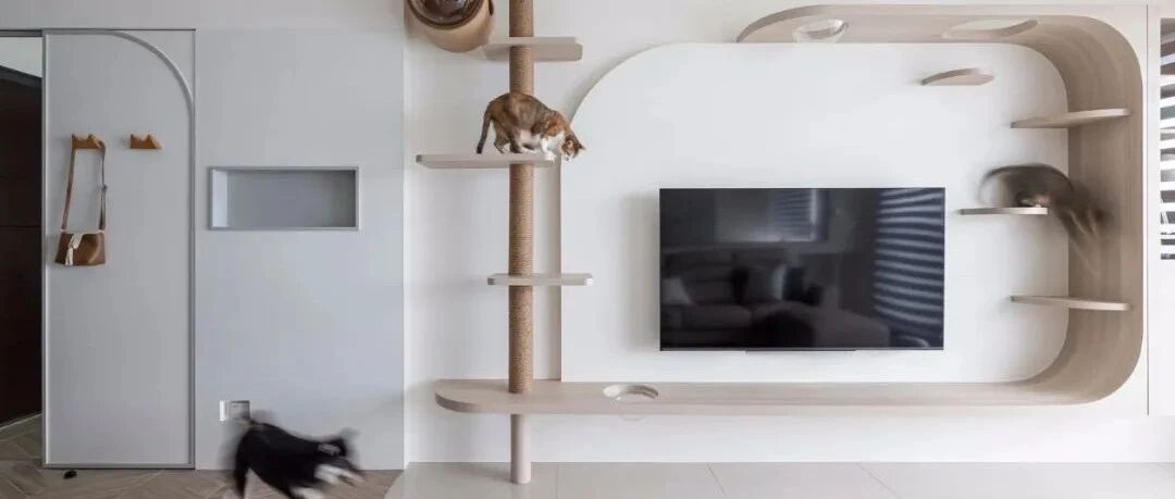 养宠物的住宅，都应该这样设计！