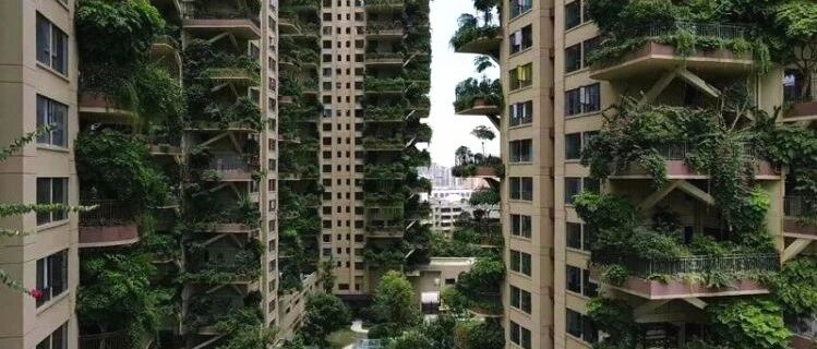 一夜售空的第四代住房，交房后只有10户入住，竟变蚊子天堂？