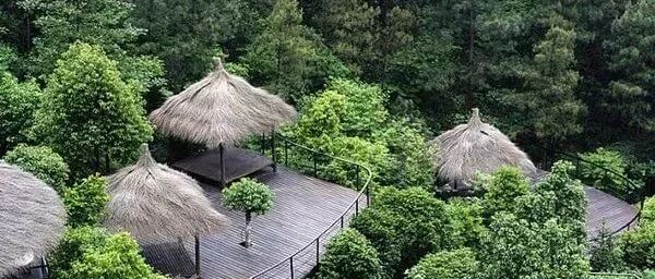 莫干山民宿考察 | 高端民宿设计、建造、运营考察学习 （第68期）