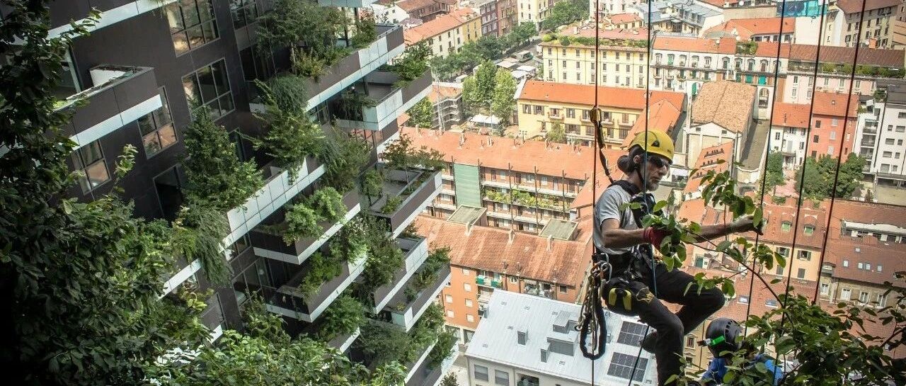 爆红的垂直森林,却被吐槽「蚊虫太多」「物业太贵」,阳台还是点到为止的绿化靠谱