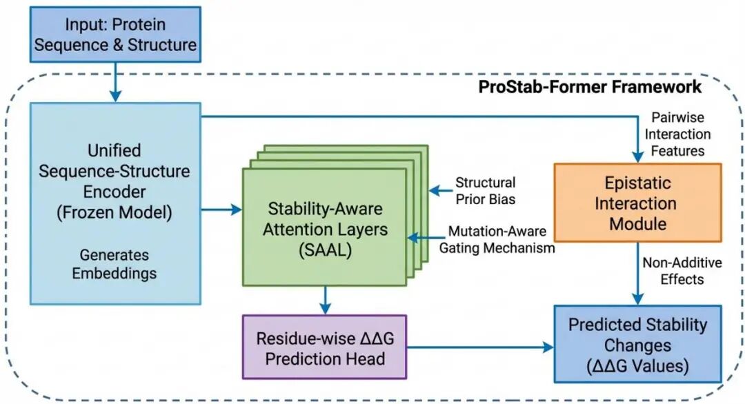 Minia大学团队突破：AI深度学习模型ProStab-Former实现蛋白质稳定性预测新高度 - Py学习