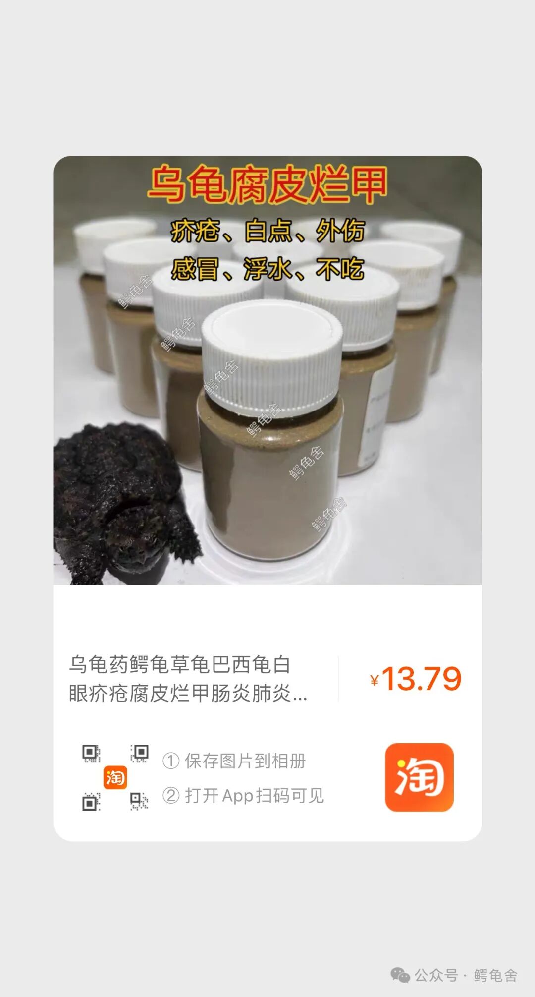 小乌龟吃什么