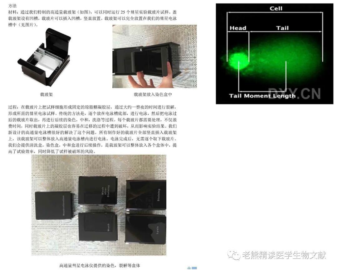 med压力怎么弄Genome Med(IF=11)｜靶向CDC7通过诱导DNA复制压力增强肝癌ATR-CHK1的抑制作用_https://www.jmylbn.com_新闻资讯_第5张