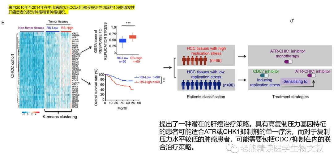 med压力怎么弄Genome Med(IF=11)｜靶向CDC7通过诱导DNA复制压力增强肝癌ATR-CHK1的抑制作用_https://www.jmylbn.com_新闻资讯_第15张