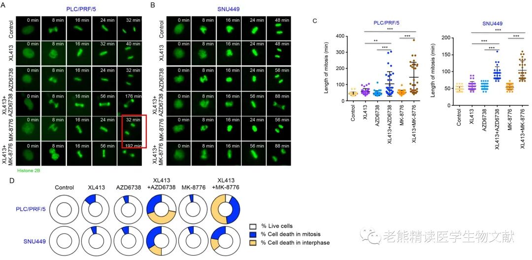 med压力怎么弄Genome Med(IF=11)｜靶向CDC7通过诱导DNA复制压力增强肝癌ATR-CHK1的抑制作用_https://www.jmylbn.com_新闻资讯_第12张