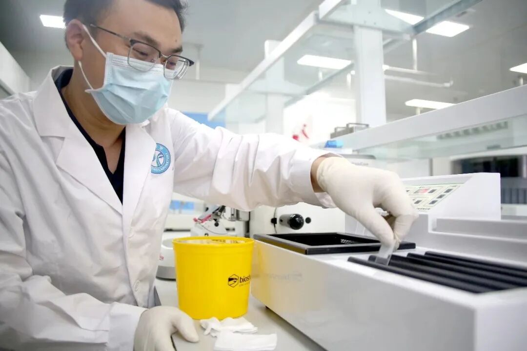 ▲金凤病理精准诊断中心科研人员正在工作2。雷键 摄.jpg