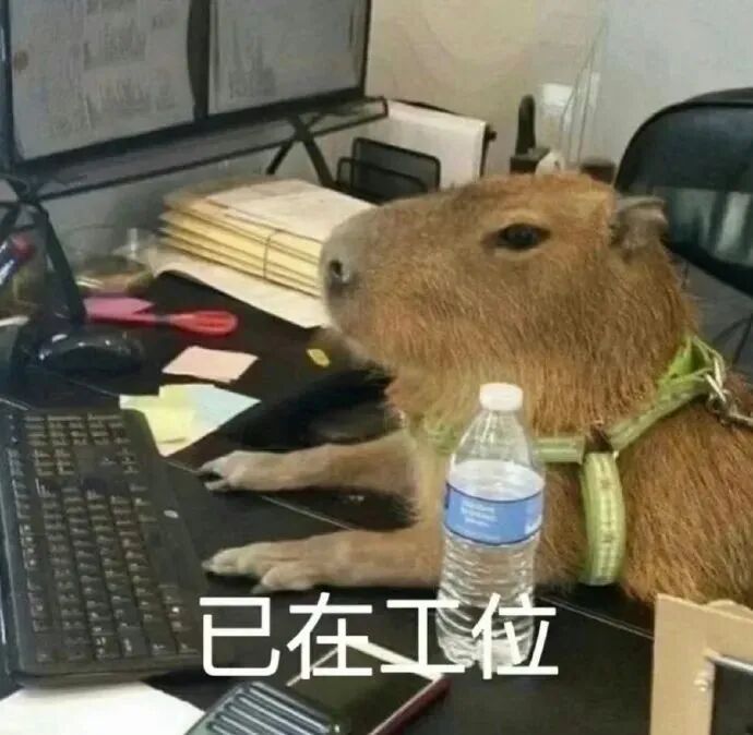 这是"焦急观望"