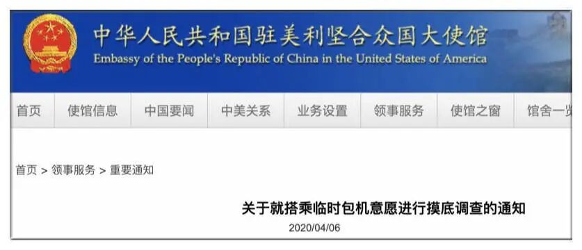 14岁留学生口述：乘坐第一批包机回国是种怎样的体验？（组图） - 6