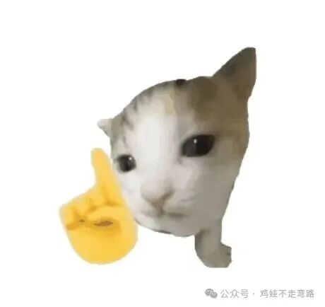 浦东家长必看！这10所初中，凭啥是浦东初中的十大天王？