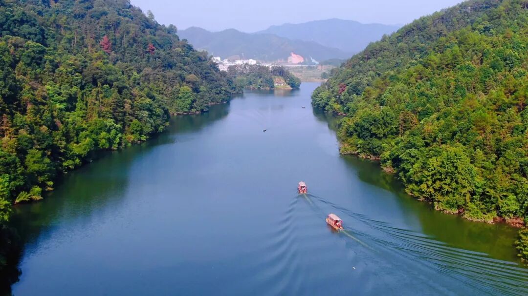 赴春天之约绽巾帼芳华三月女神季崇义各景区团建接待火爆