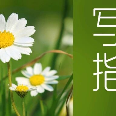 第3669季【祥华专栏】《以花朵的样子绽放》写作指导