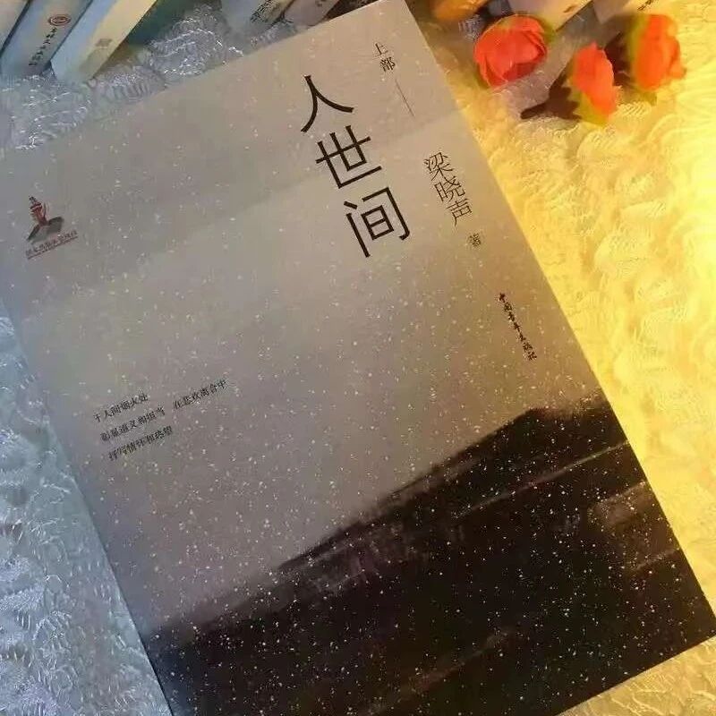 第4024季【湿地豫见】毛崇伟：人间情暖  岁月情深——《人世间》读后感