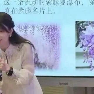 【杨静精品课】中考课外文言复习之“文意理解题”教学设计
