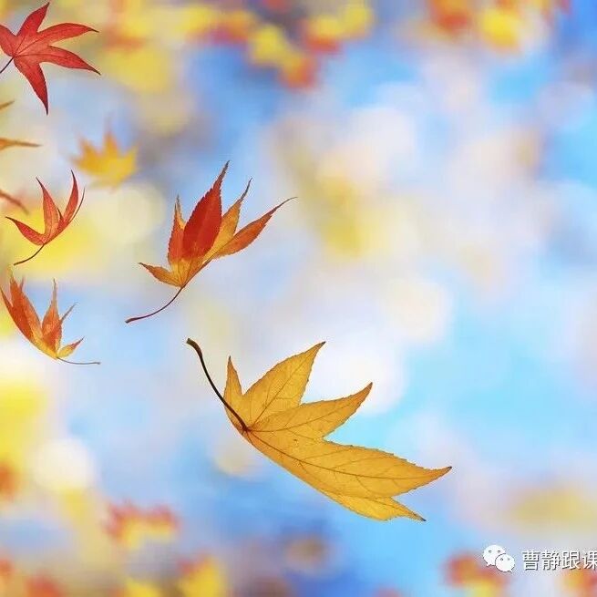 第3467季【曹静专栏】开学第一课：学用十字礼貌用语