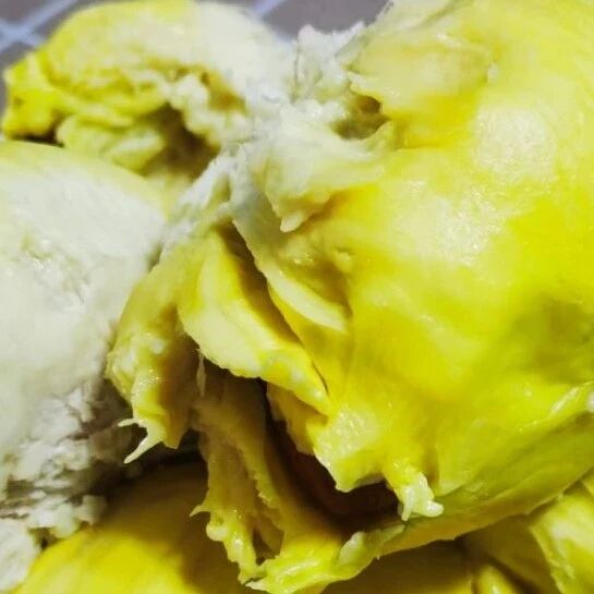 【精品课例】龚燕：品味佳肴  感悟至道——《虽有佳肴》教学设计