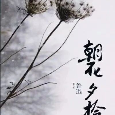 第3509季【海芹专栏】离别与回归——《朝花夕拾》整本书教学