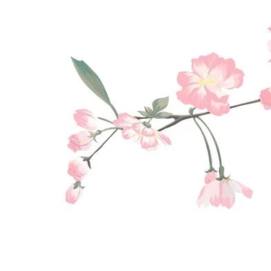 第3585季【青春语文•回顾展望】周一组：可惜我文笔平平，写不尽青春的一年