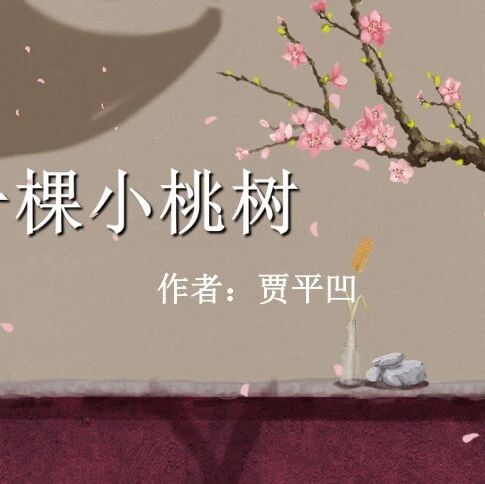 第3692季【湿地 豫见】陈纯冬: 走出去，返回来