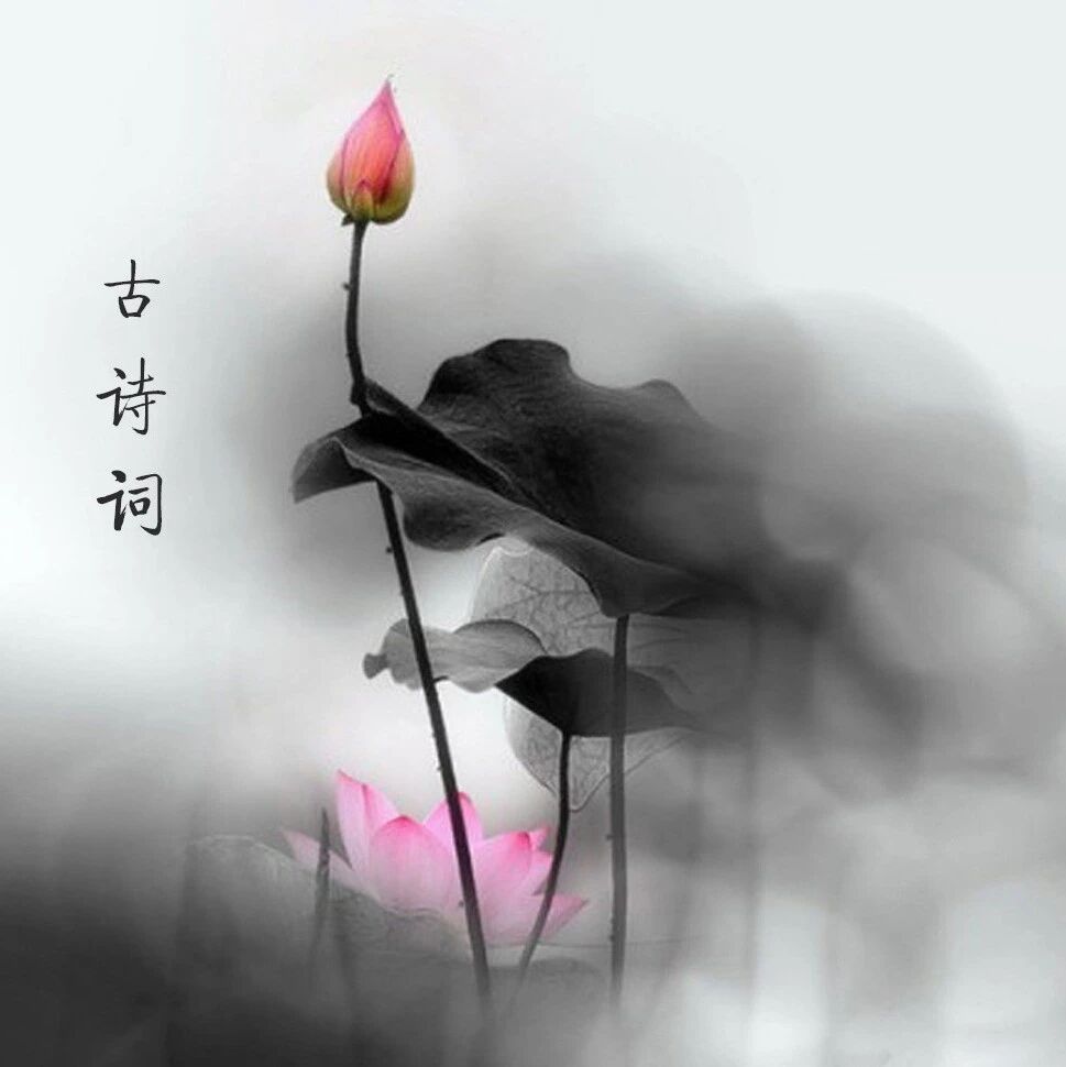【高中语文】陈玉蓉：“古诗词在当下的意义”作文解析及下水示范