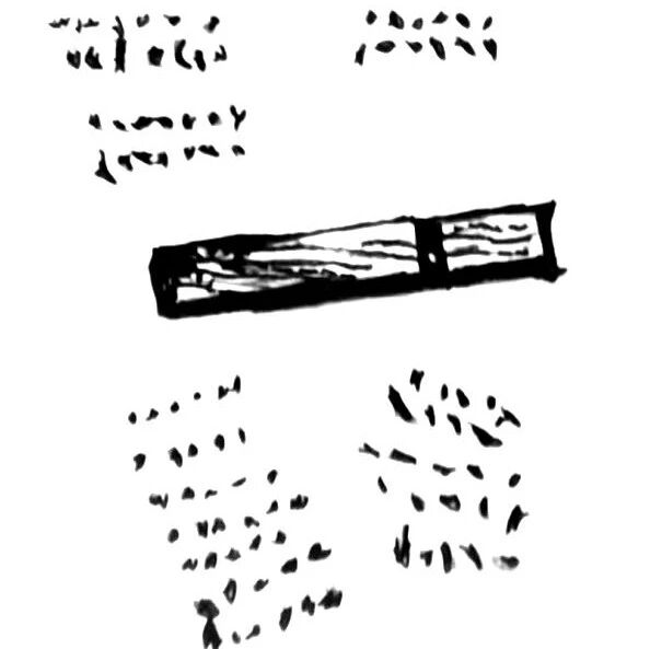 【探字寻根读诗文】314：一