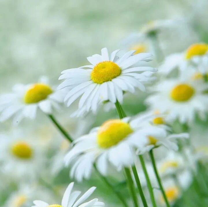 【讲座回音壁】阅读赋能父母，助力儿女成长——曹静、罗翔老师讲座点评（二）