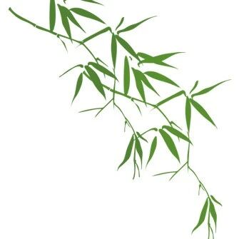 第3981季【京华墨韵·湿地文澜】时丽丽：景美意妙——远近结合显神奇