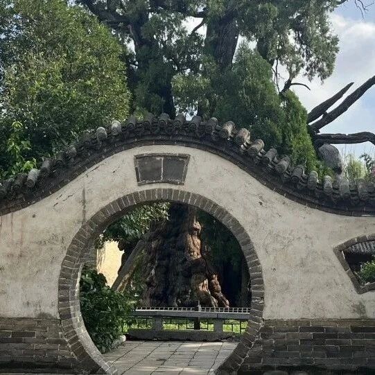 【湿地随笔】龚静娟：中原文化之旅——少林寺、嵩阳书院