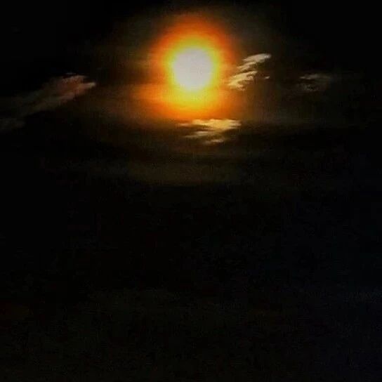 【湿地随笔】聂泽武：和苏轼在同一天看大月亮