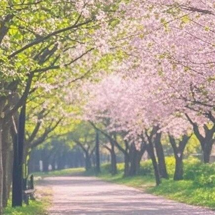 【湿地课堂】黄淑娴：春天是一袭诗意的长裙——美读《春》