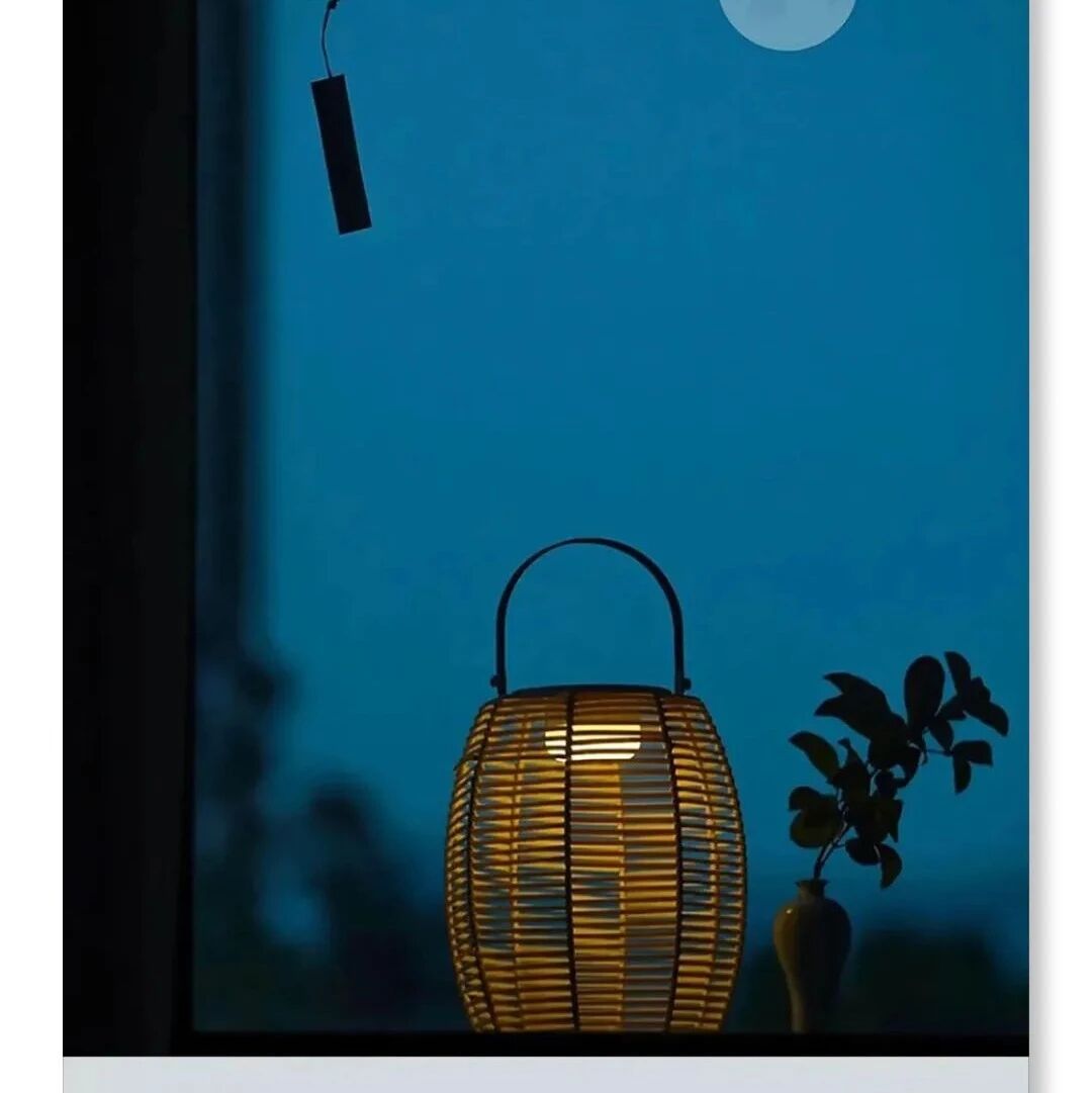 第3499季【海波专栏】《记承天寺夜游》教学——一个中年男人的精神突围