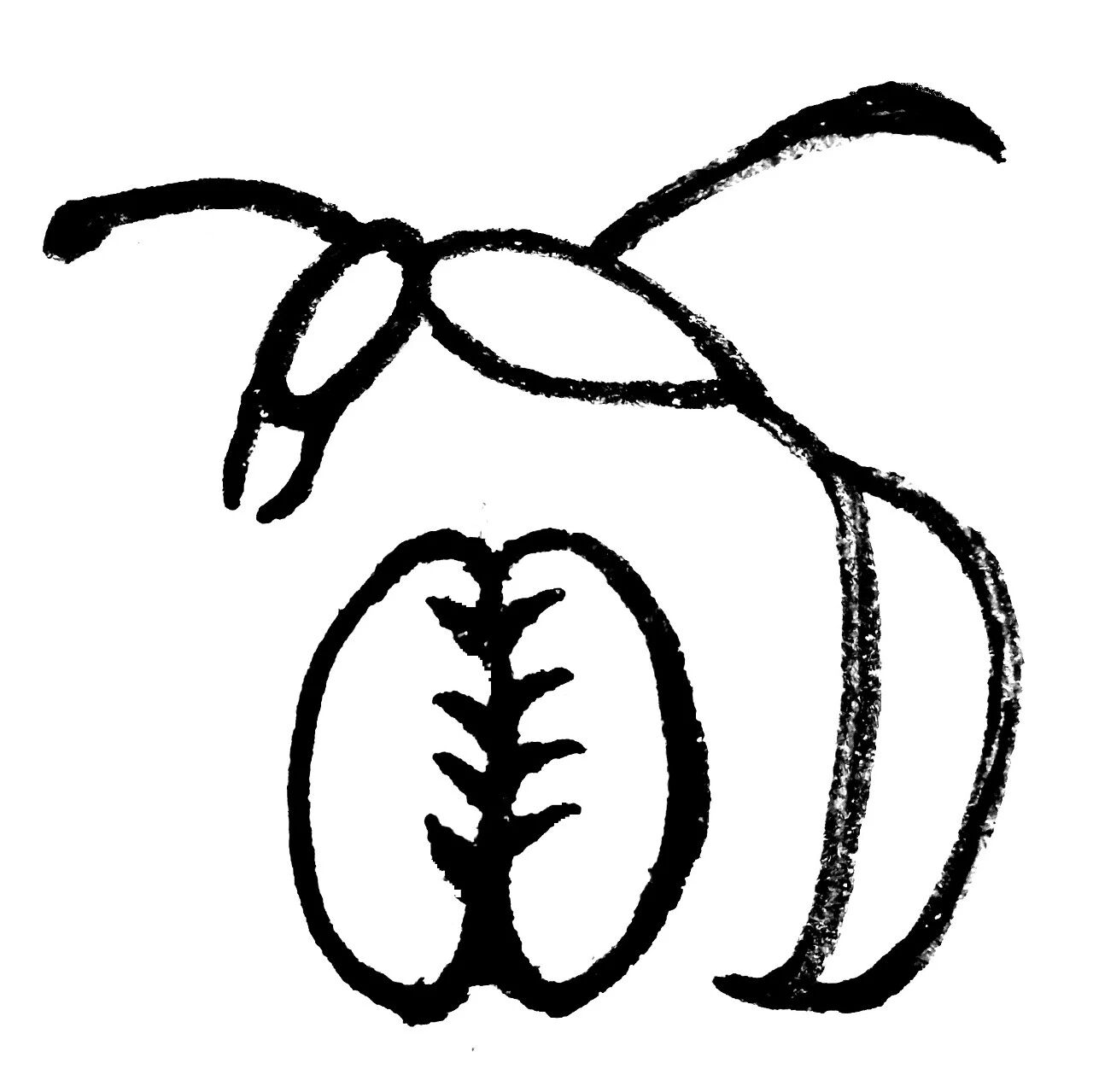 【永军专栏】探字寻根读诗文271：“赢”“嬴”“羸”“蠃”