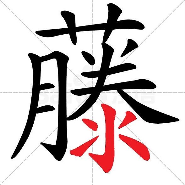 【永军专栏】探字寻根辨易错331：“藤”如水涌