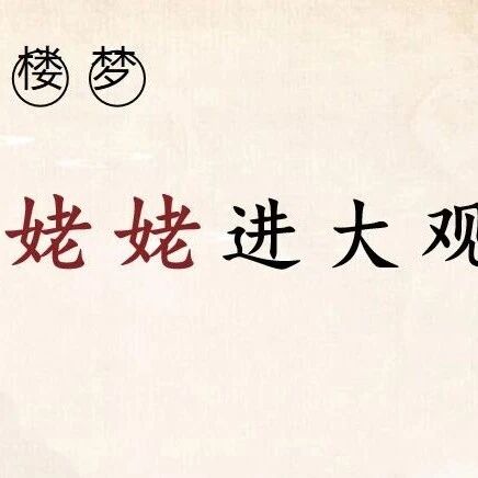 【文君专栏】《刘姥姥进大观园》——市级公开课教学实录