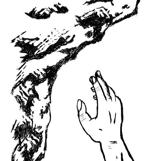 【永军专栏】探字寻根读诗文310：反