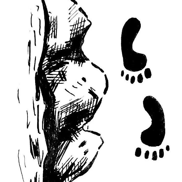 【探字寻根读诗文】327：“降”往下行
