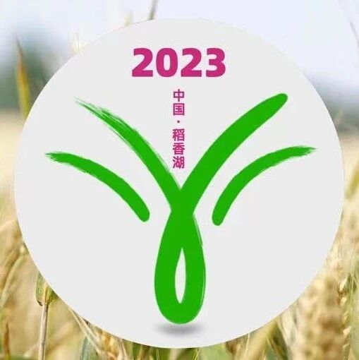 【湿地征文】高金玲：你的馈赠，点燃了我