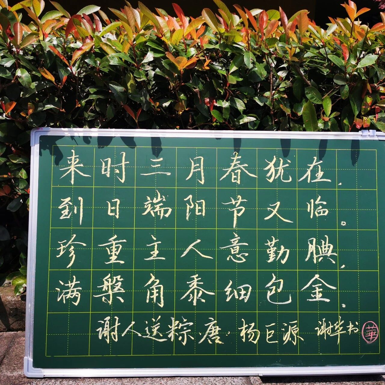 第3743季【谢华专栏】端午安康，为你祝福千千万万遍