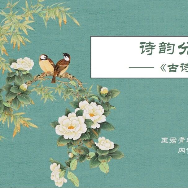 第4104季【湿地课堂】李红玲：诗韵分辑续雅风——《古诗苑漫步》教学设计（二）