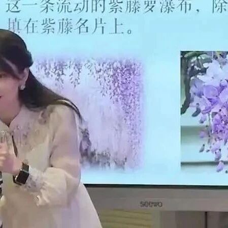 第3698季【杨静专栏】精品课例：《紫藤萝瀑布》教学设计——心花怒放，光芒万丈