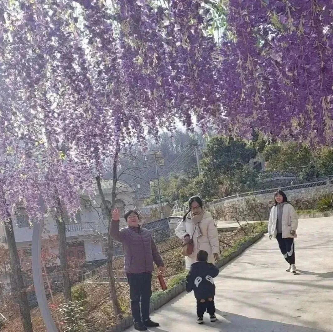 【湿地随笔】陈勇：我的大嫂