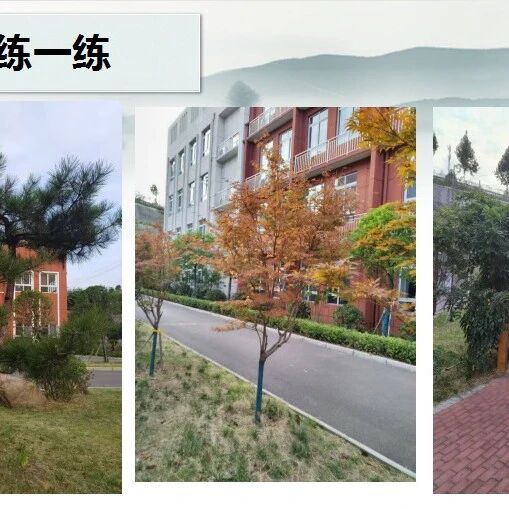 第3882季【湿地豫见】 夏长永：景由“新”生，下笔生情：学习描写景物的第一步——抓住景物的特征