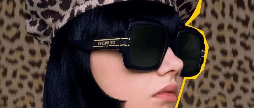 WATCH OUT！大型猫科动物出没！