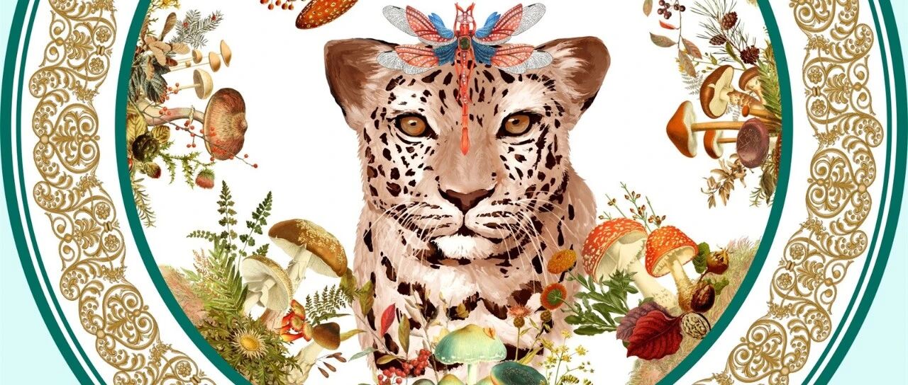 时尚瓷器 | 在平凡日子里，过有趣的生活（二）