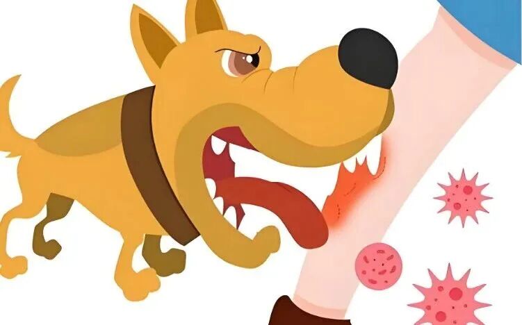 动物门诊用什么x光机为外籍女士安心接种 动物致伤门诊不辜负每一次健康托付_https://www.jmylbn.com_新闻资讯_第3张